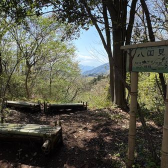 八国見山山頂
ベンチも竹仕様