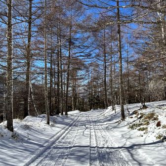 桜平分岐にタクシーを待たせてあります。