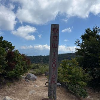 山頂
山友さんと何回登っただろ？って話してて
数えてみたらYAMAP始める前から数えると
雪山合わせて12回目でした