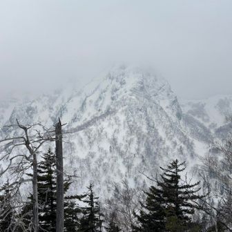 正面には夫婦岩🪨
風に乗って嫌な雲が寄ってきてる🌬️☁️
結果これが本日今日イチの景色となりました💦