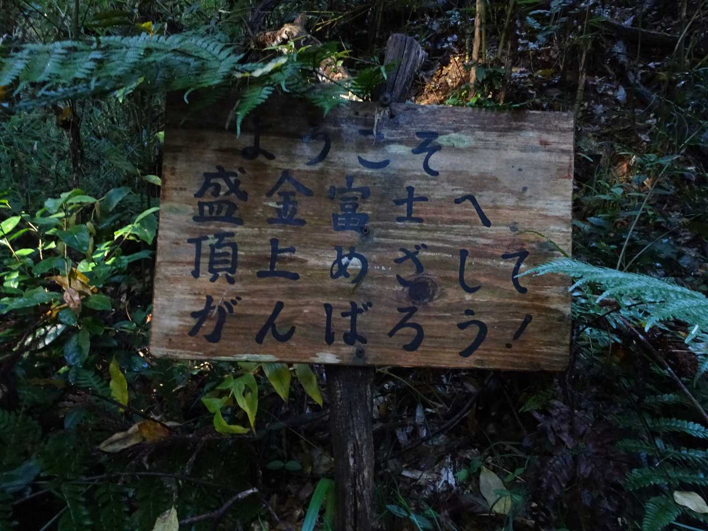 はい！🙋