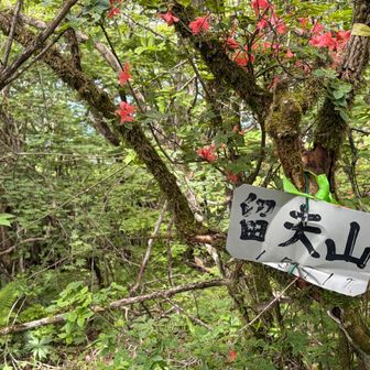頂上標識岳幾つかある