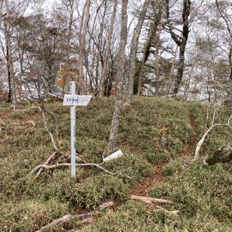 矢筈山方面の岐路。