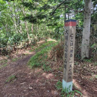 横岳山頂。ここまで来れば根っ子征服。でも未だコースの四分の一