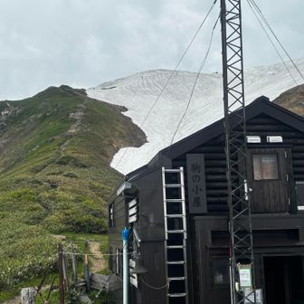 駒の小屋に戻ってきました。ランチします