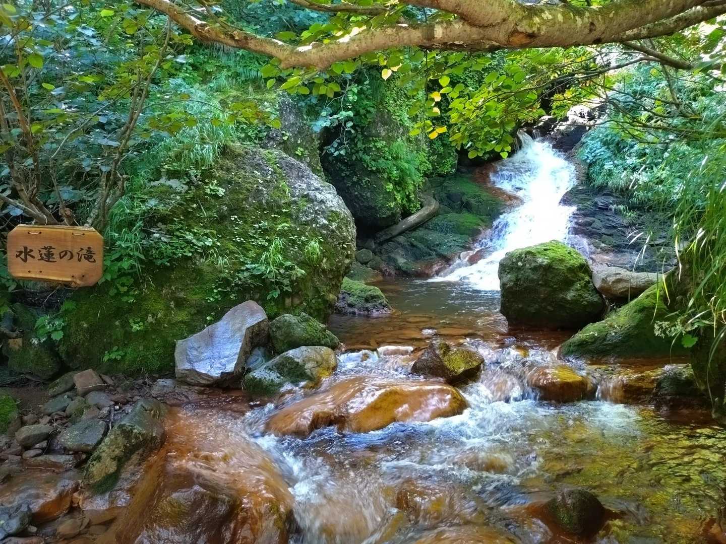 水蓮の滝