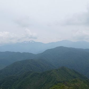 白山見ながら🍙
赤兎山への道。相当な藪道らしいです