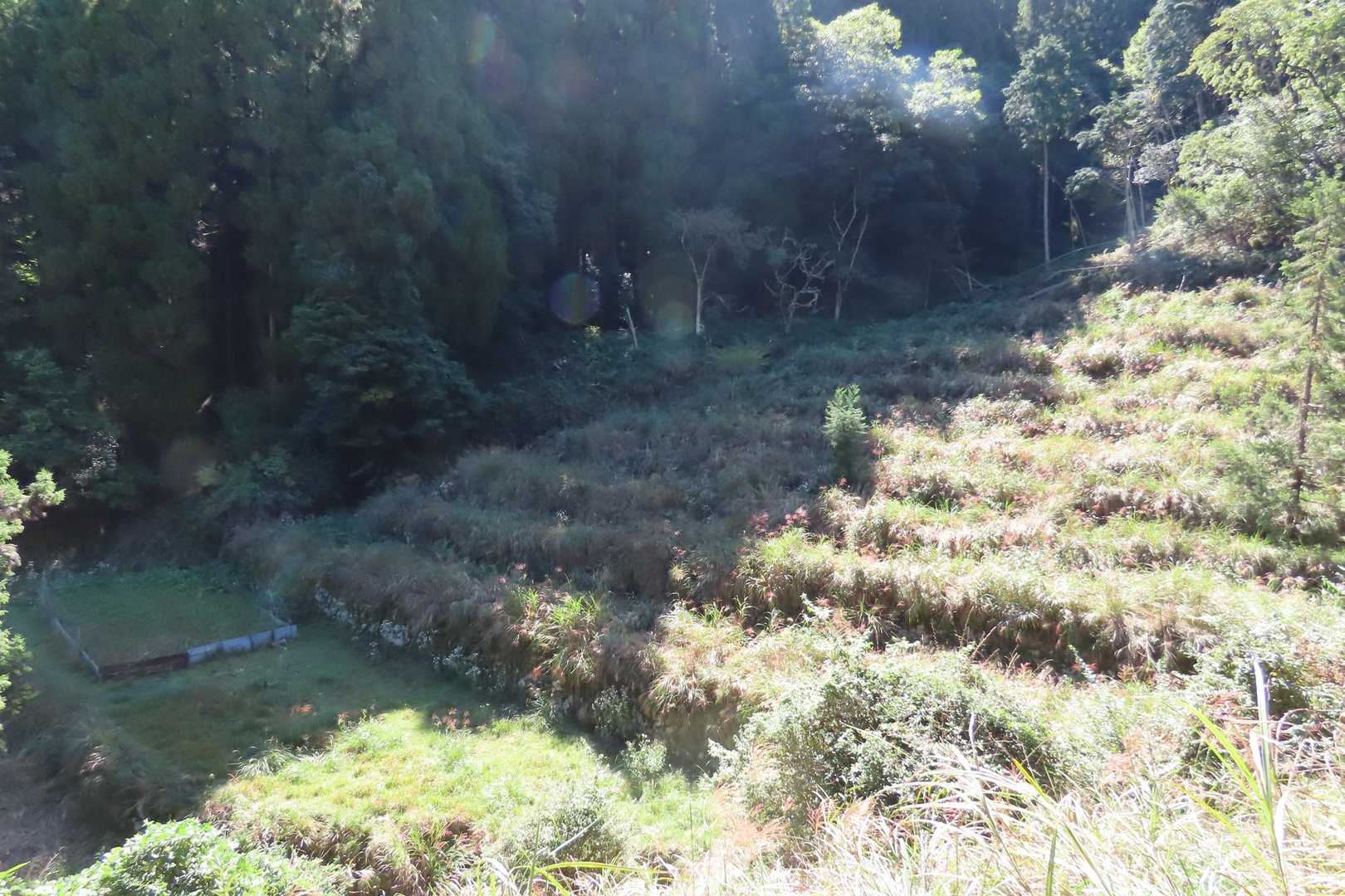 これは見事な棚田跡。これも先人の苦労が偲ばれる。