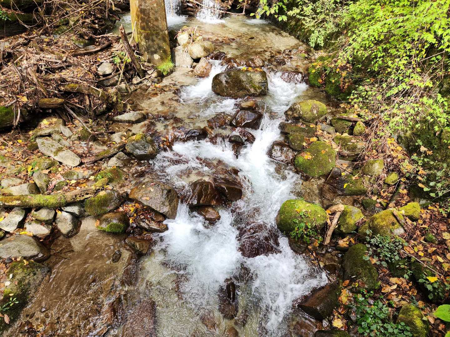 一昨日までの雨で、水量多め