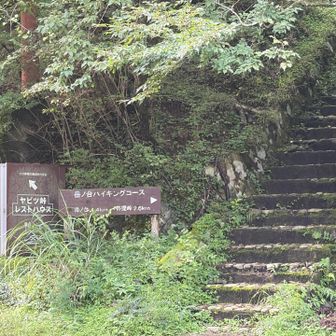 電車、バスに揺られ到着のヤビツ凍結
当初は一般的なルート予定も
KB氏が行った事無いと言うので急遽、岳ノ台・日本武尊ルートを選択。
しか〜し！ここは知る人ぞ知る「ヤマビル」ちゃんの巣靴なのだよ！
ヒルさがりのジョニーやヤマビルファイターなど、一切対策をせず敢えて丸腰で突撃してきます🫡
かかってこいや〜‼️