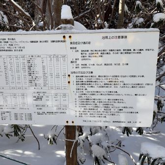 高血圧にいい⇨俺
結石はない⇨相方
当然血尿も…