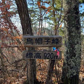 とりあえず通っておく