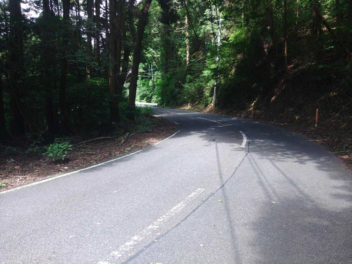 後はこんな道を 日陰を 縫うように歩きながら 駐車場に