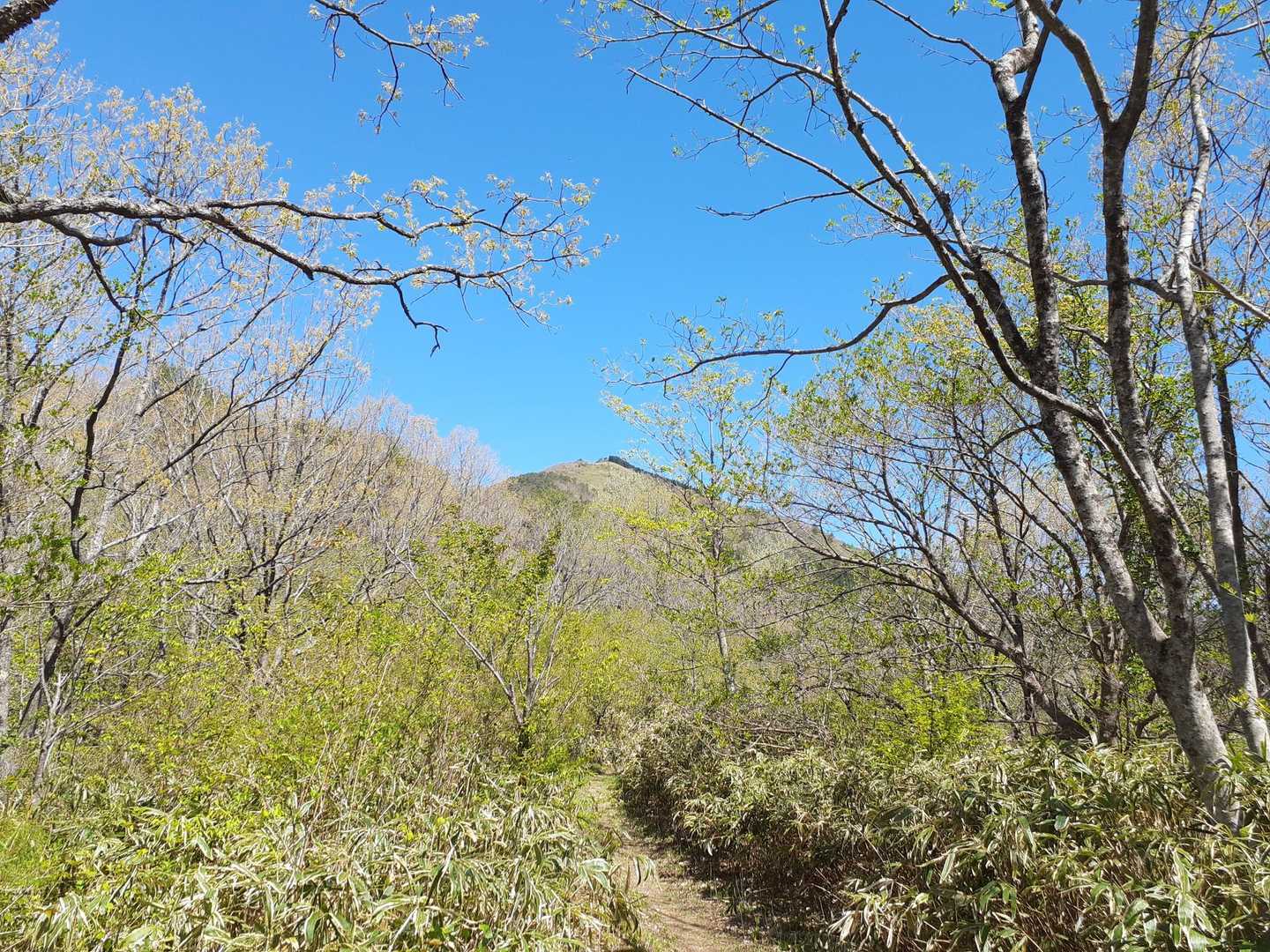 星山が見えるー😃