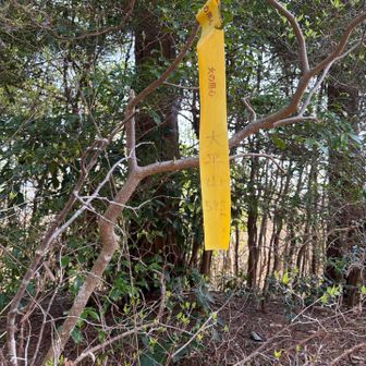 これが標識？？