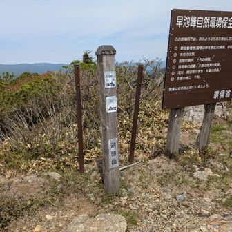 鶏頭山山頂！