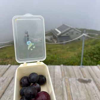 デザートのピオーネ🍇
残念😢　頂上はガスガスでした