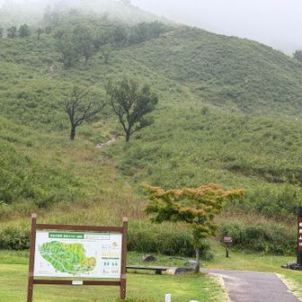 南登山口から深入山を眺めて、
東登山口まで移動しました。

雨模様なので、滑りやすい南登山道は避けて、東登山口から登ります。