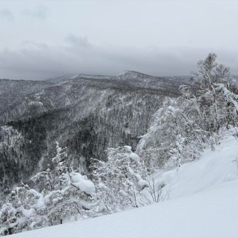 全く見えないかもと思ってきたけど、見えて良かった〜🏔️✨