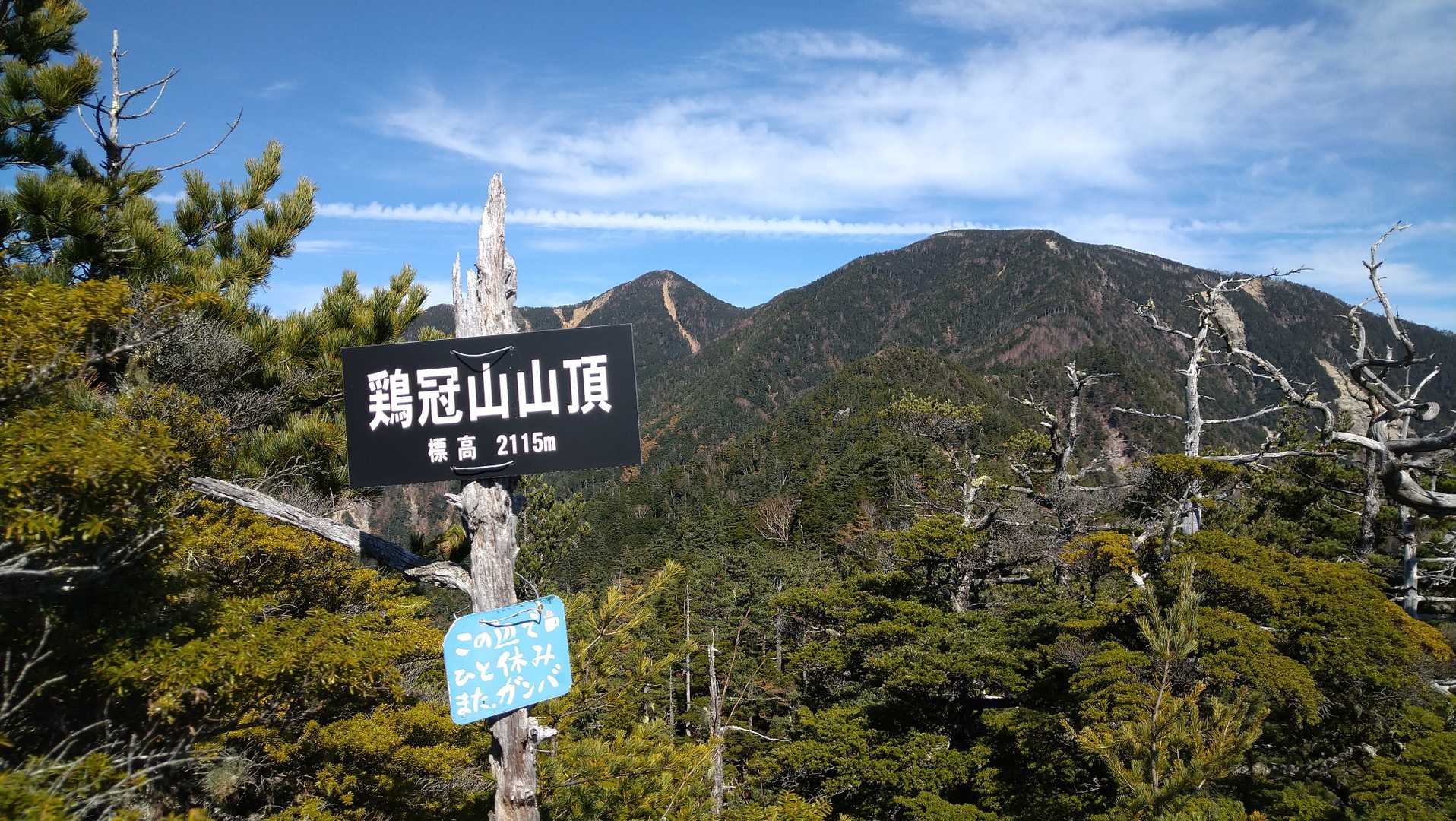 着きました、鶏冠山山頂です！
奥には甲武信、右は木賊。