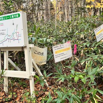 滝コースは現在通行止めです🙅