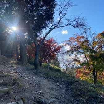 れお  ⋯まだまだ初心者🔰です⋯