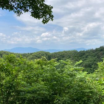 弥彦多宝角田うっすらと