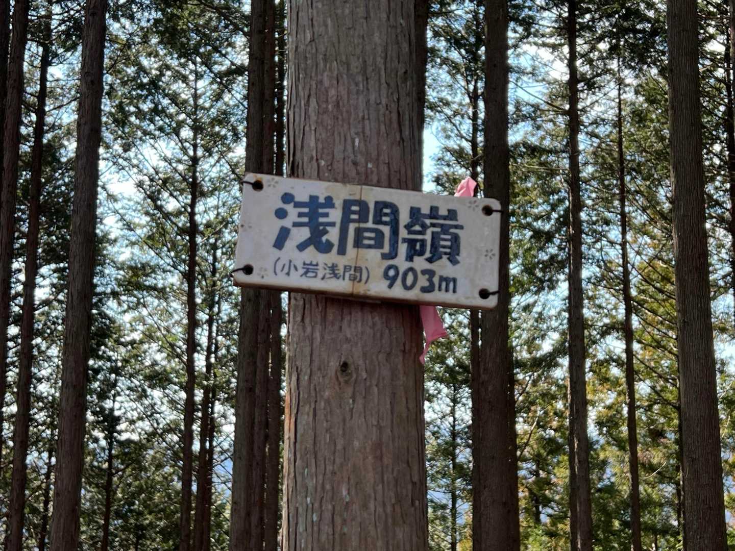 展望台じゃない方(真の山頂)