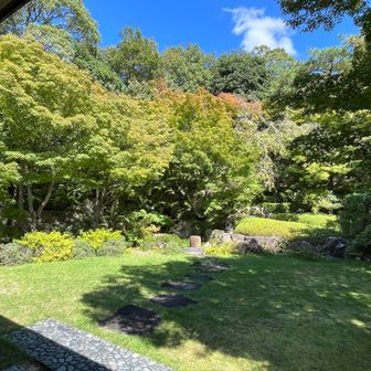 庭園でまったり
他のお客さんが優雅にお抹茶をいただいている隣りで、私は服の色が変わるほど汗びっしょりで恥ずかしいです