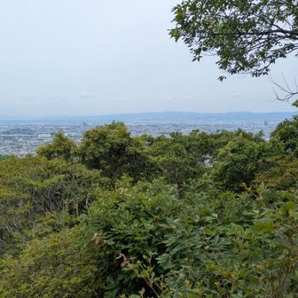 途中でこんな景色に癒されて！