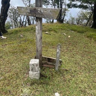 向坂山⛰️