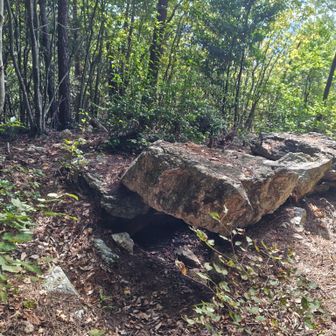 地元の方に案内して頂いた古墳
昔はこんもり山になっていたのが
土が崩れこの石が出て来たそうです
米田白山に古墳！！
初耳です👂️