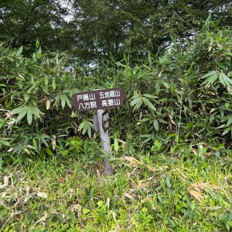 五地蔵山に向かいます