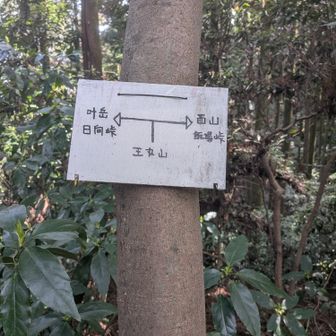 日向峠への 分岐  右折🎶