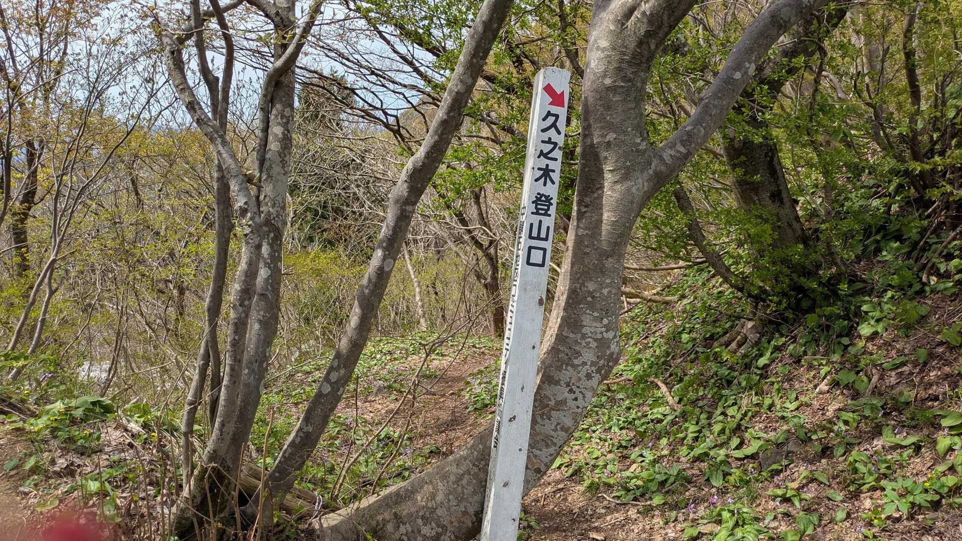 久ノ木峠
周回下山登山道