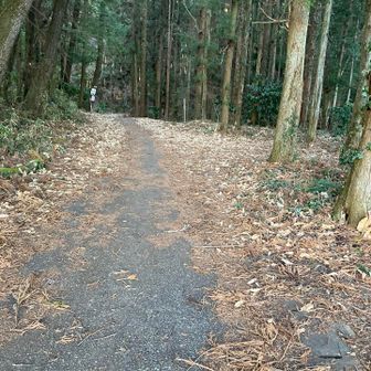 ここから登ります