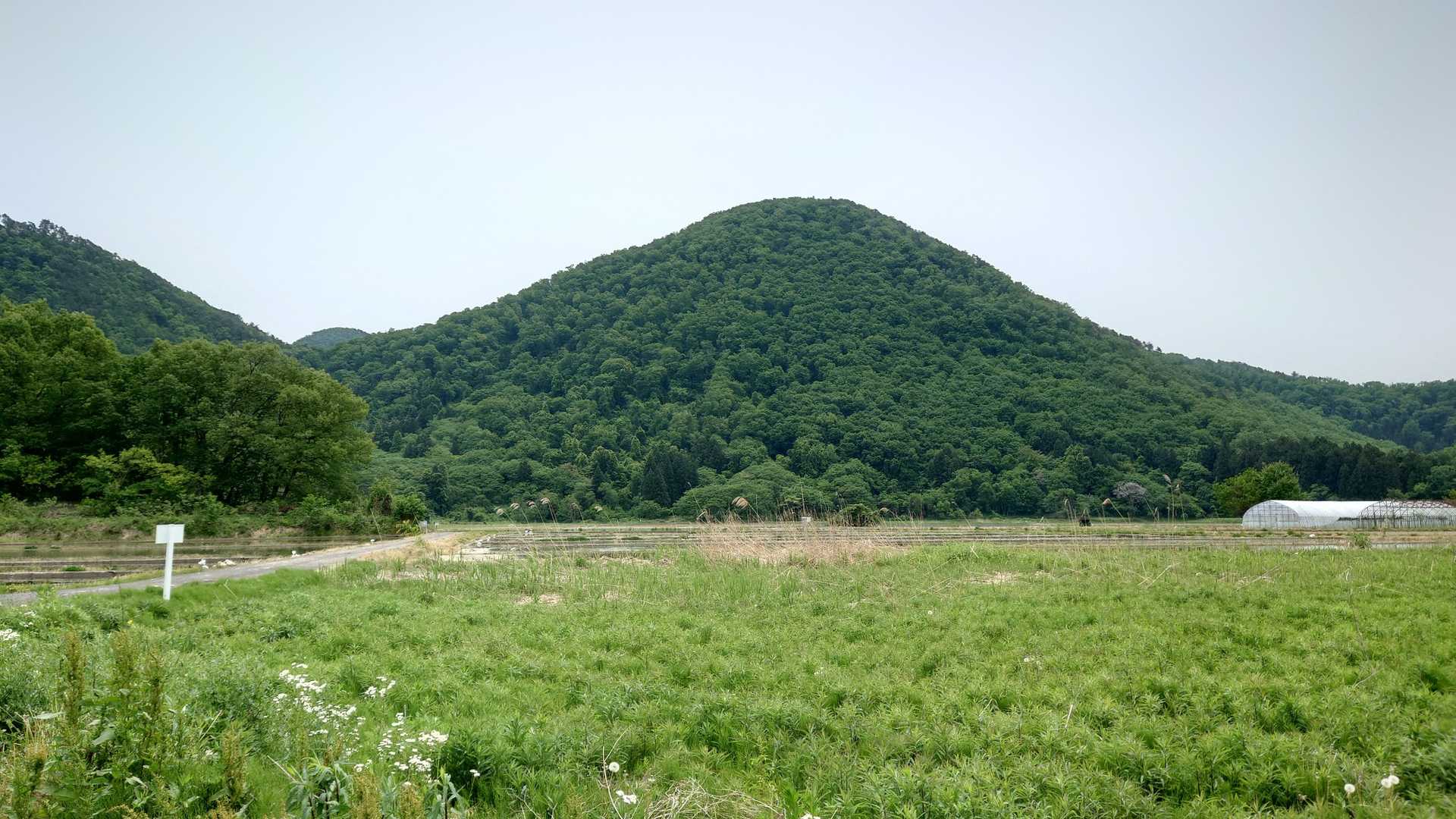 初めての大岡山スタート