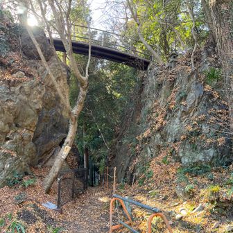 岩と岩をつなぐのが『天高橋』。
これが葛飾北斎の絵の題材にもなっているみたい。