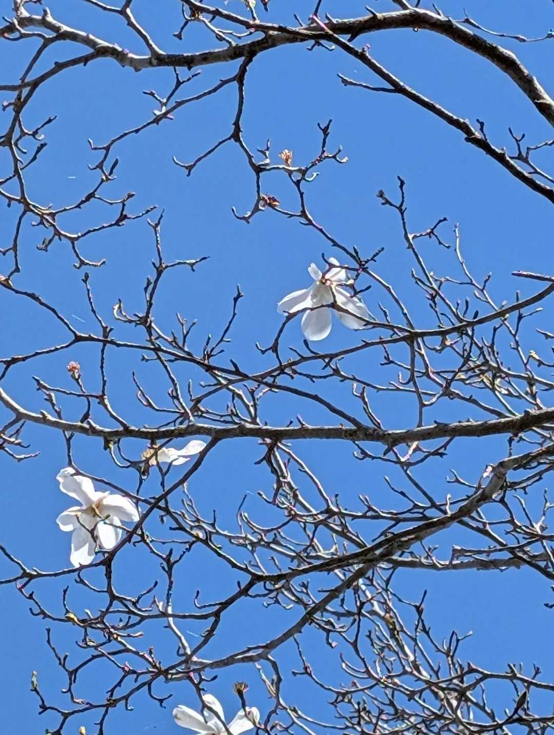 きれいな青空