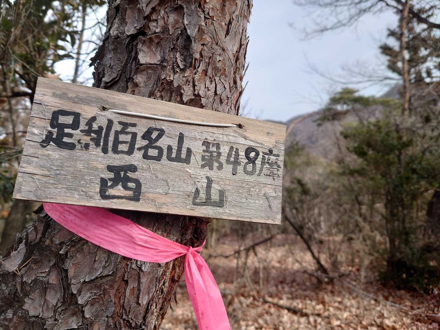 足利百名山　西山