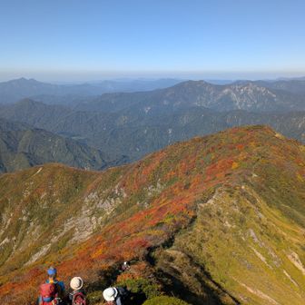 最高でしょ✨️😆