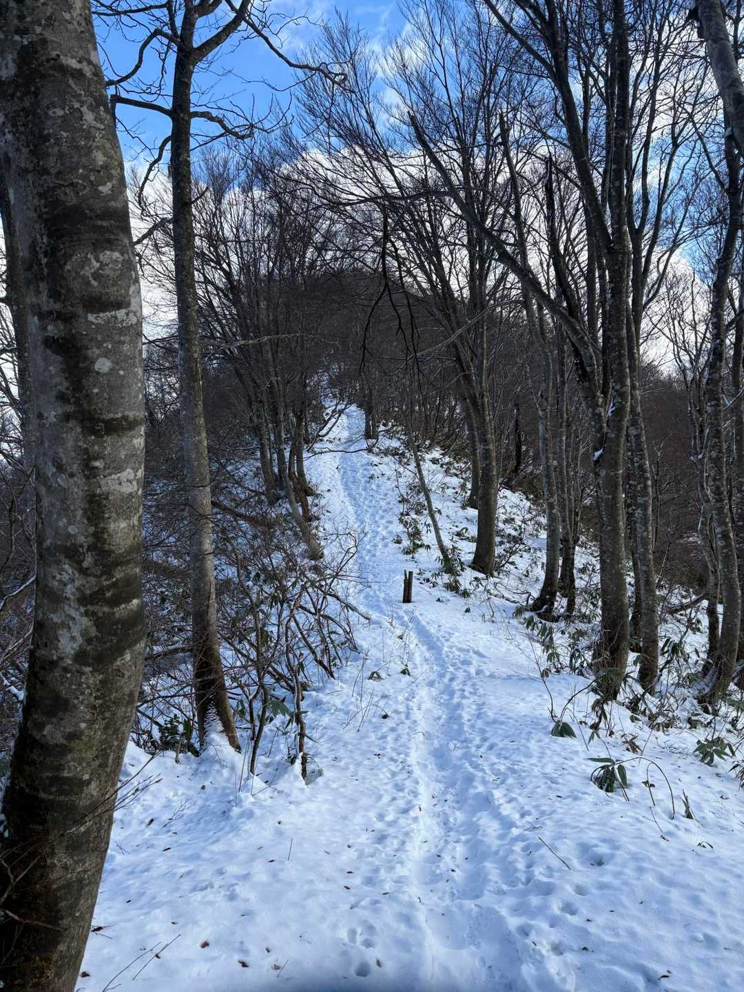 牛岳登山口-牛岳 往復コースの写真