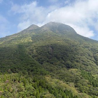 振り返ると由布岳