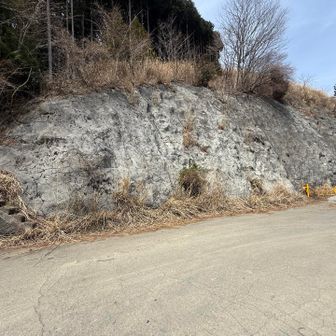 右の林道からではなく左の階段から行きました