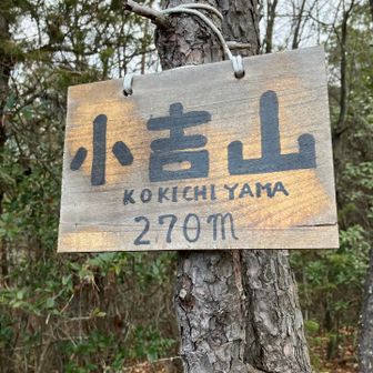 こきちやま。つい「しょうきち」と読んでしまう。