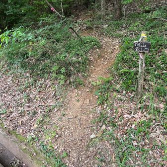登山口の標識、小さい💦