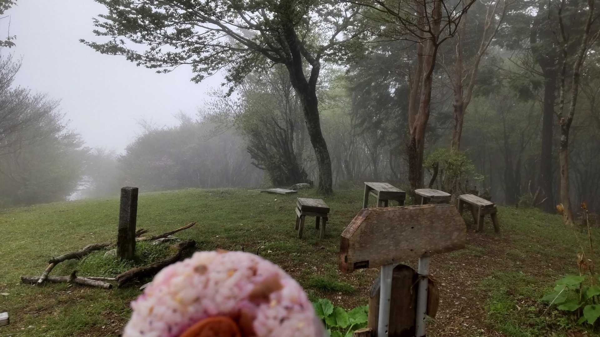 おにぎり食べる。