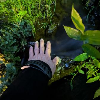 脇を流れてるのはあったかい温泉👍