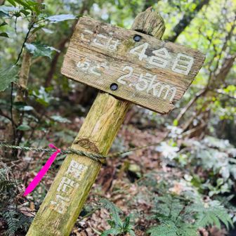 まだ4合目…汗拭き拭き💦ダラダラ、引き返すならいましかないという局面