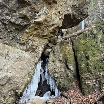 こちらも凍ってる､､､